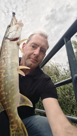Snoek